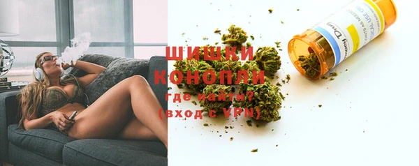 ешки Аркадак