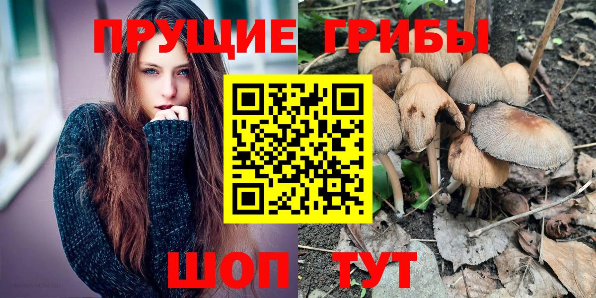 Галлюциногенные грибы мицелий Новозыбков