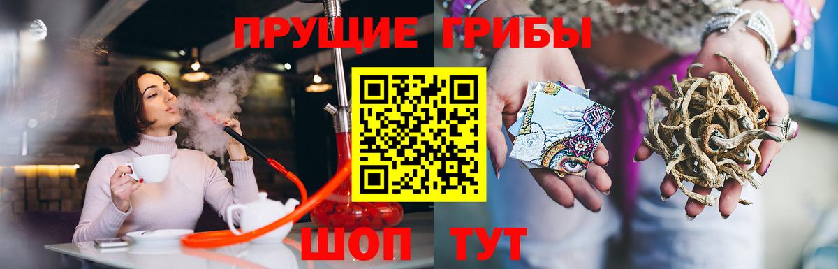 Новозыбков  Псилоцибиновые грибы MAGIC MUSHROOMS  Вход с VPN 
