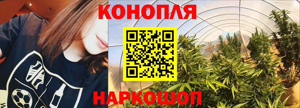 Марихуана VHQ  Вход с VPN  Новозыбков  Канабис Bruce Banner  Бошки Шишки семена 